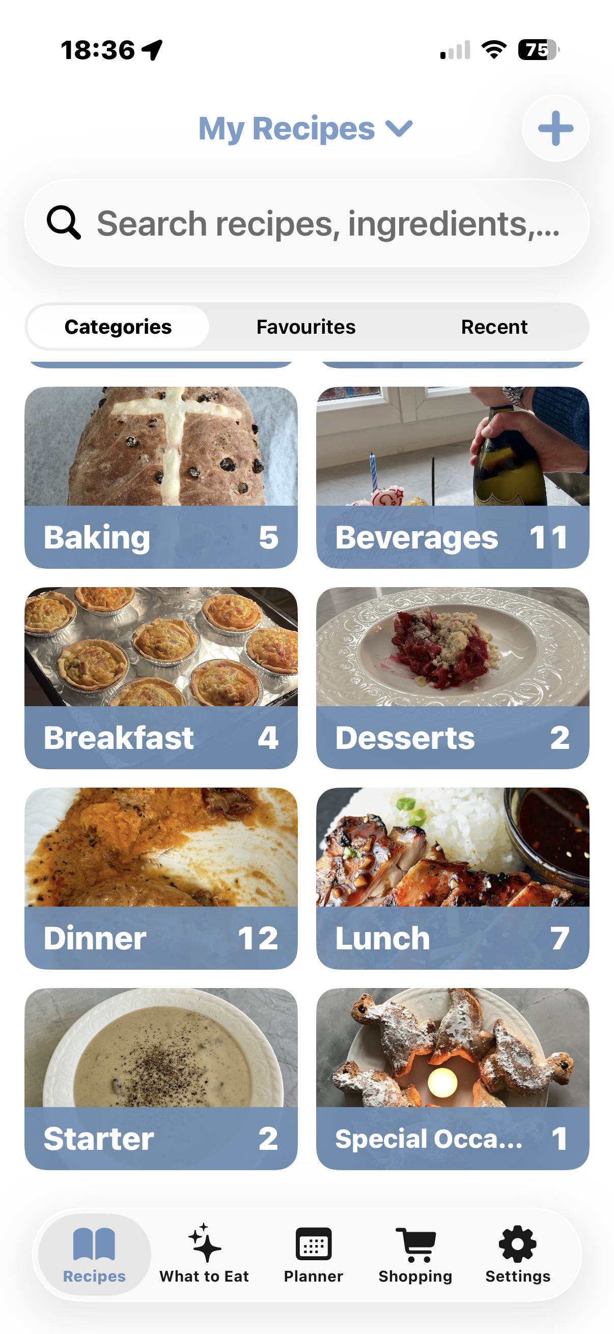 The Recipes tab, showing recipe categories